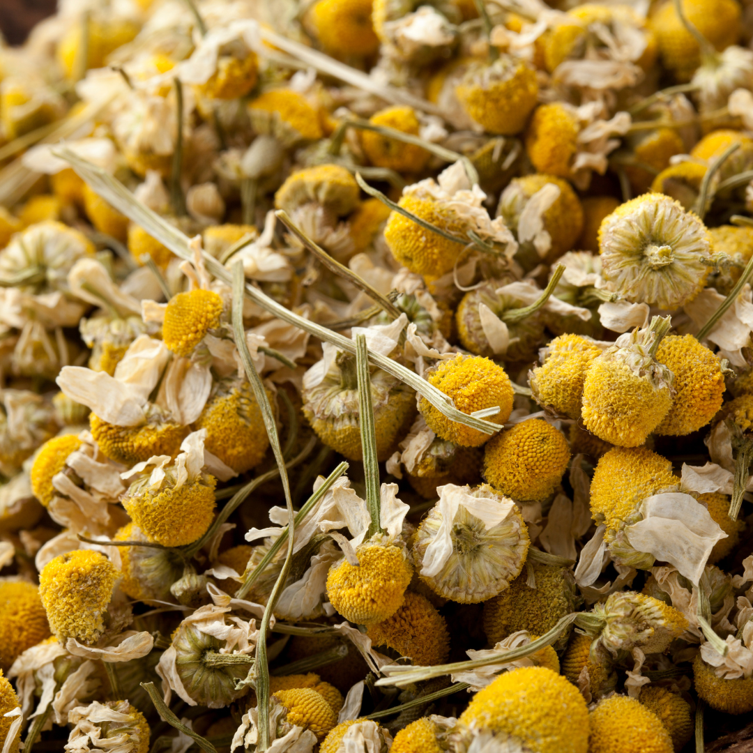 Premium Himalayan Chamomile Tea – Pure Whole Flowers | Wadi Harvest
