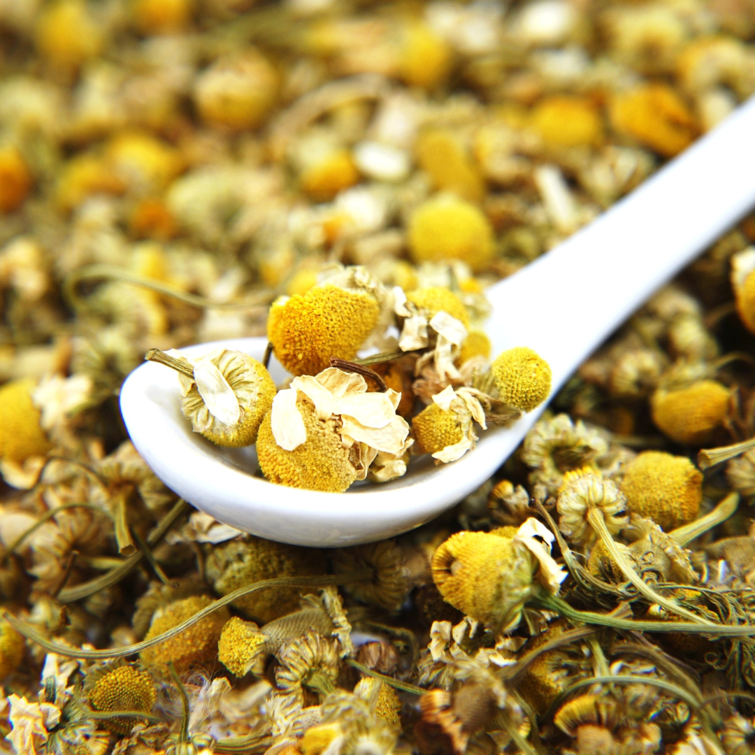 Premium Himalayan Chamomile Tea – Pure Whole Flowers | Wadi Harvest