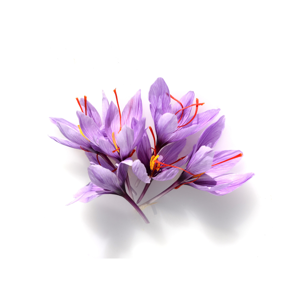 Kashmiri Saffron Threads (2 gram) – Premium Mongra Grade | Wadi Harvest