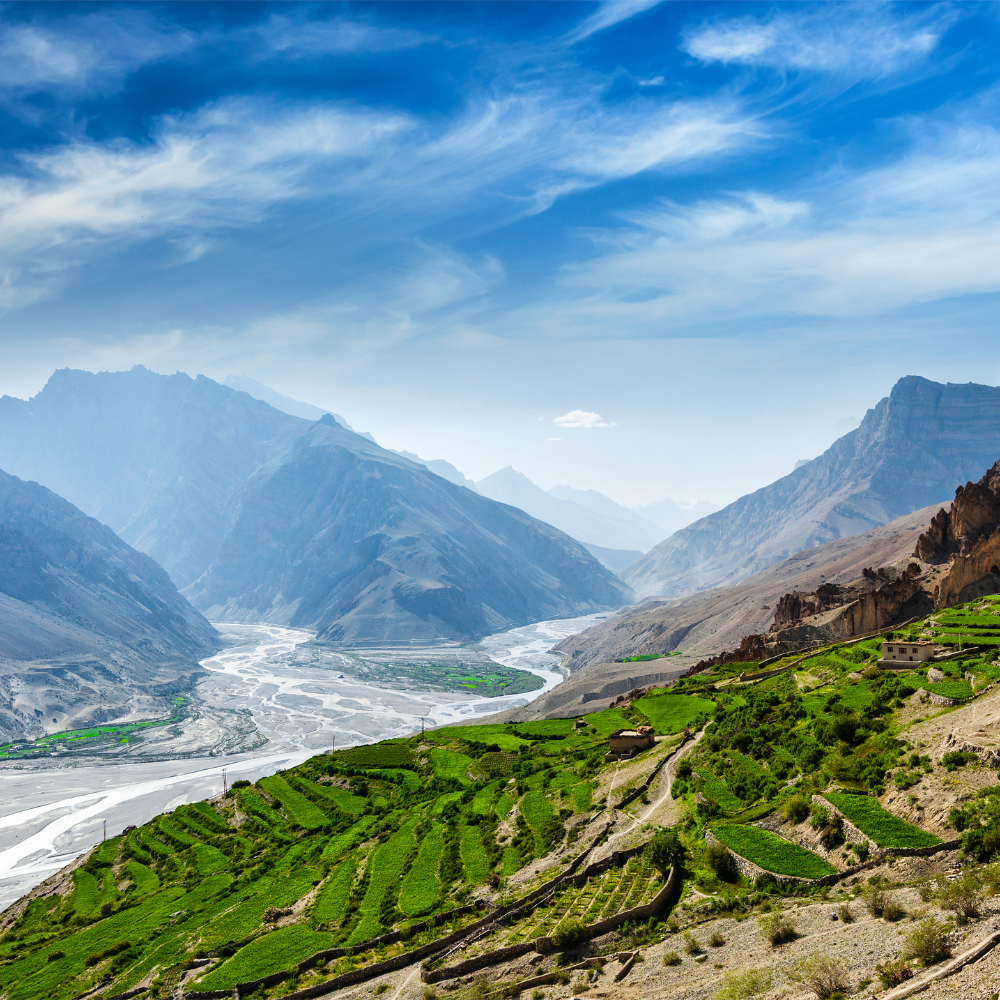 Himalayan Wildflower Honey – Raw & Unprocessed from High-Altitude Meadows | Wadi Harvest