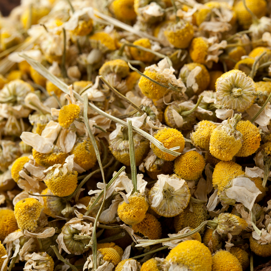 Premium Himalayan Chamomile Tea – Pure Whole Flowers | Wadi Harvest