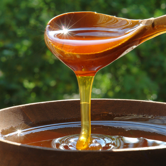 kashmir-acacia-honey